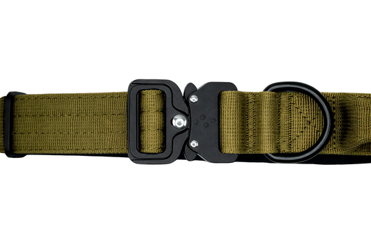 Hundehalsband breit & gepolstert, mit Griff & Metallschnalle (grün)