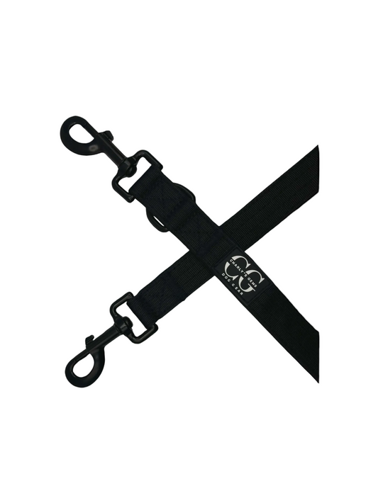 Hundeleine - Gepolstert & Verstellbar