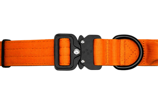 Hundehalsband breit & gepolstert, mit Griff & Metallschnalle (orange)