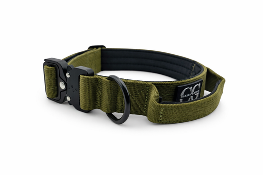 Hundehalsband breit & gepolstert, mit Griff & Metallschnalle (grün)