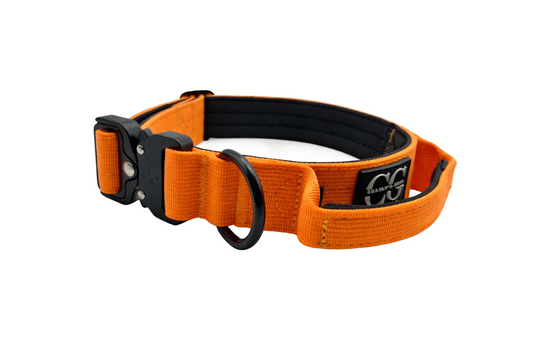 Hundehalsband breit & gepolstert, mit Griff & Metallschnalle (orange)