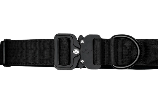 Hundehalsband breit & gepolstert, mit Griff & Metallschnalle (schwarz)